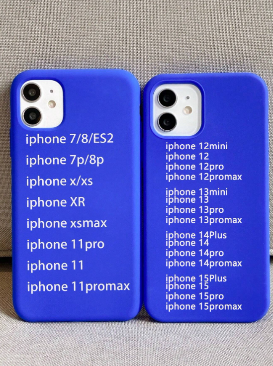 Silicon Blue